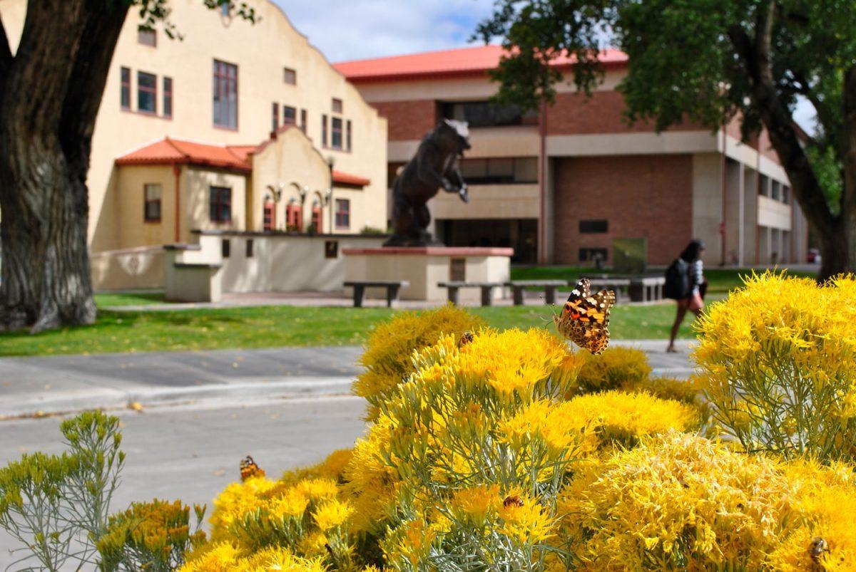 Rex Activity Center Old Mose with fall flowers